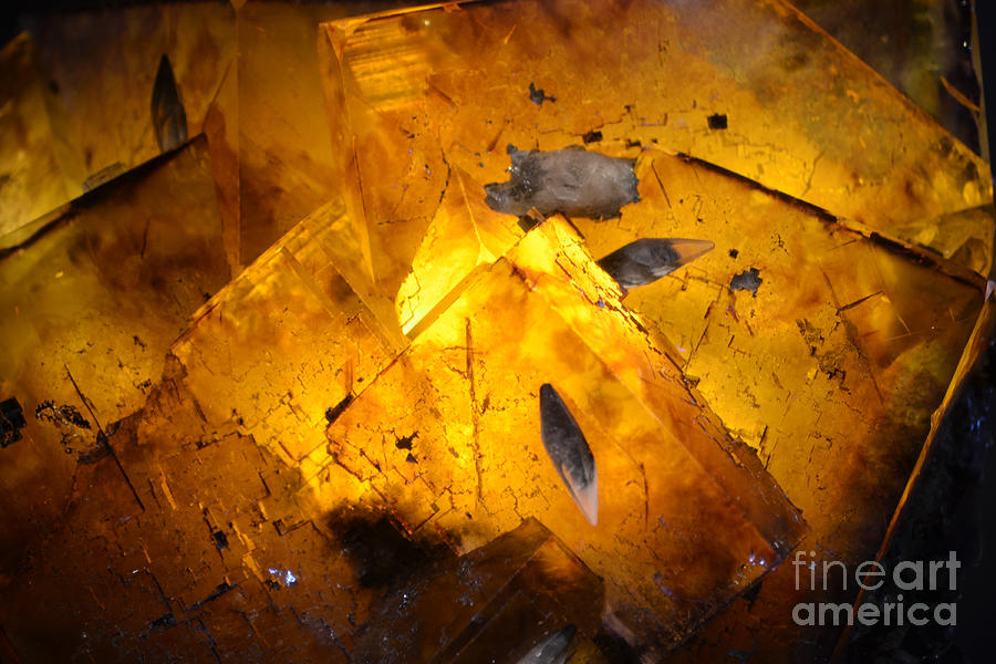 Backlit Fluorite Crystals Macro Photograph by Shawn OBrien