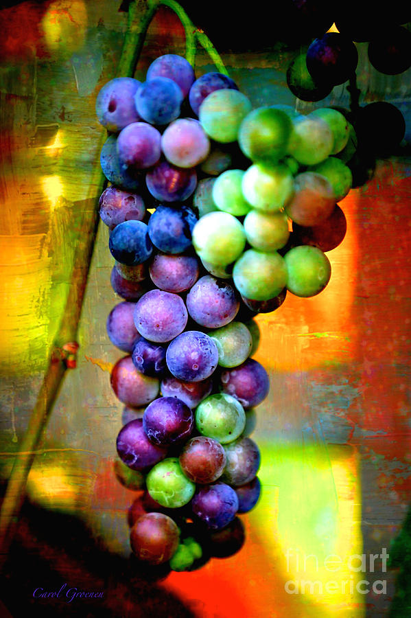 Backlit Grape Cluster with Textures Photograph by Carol Groenen