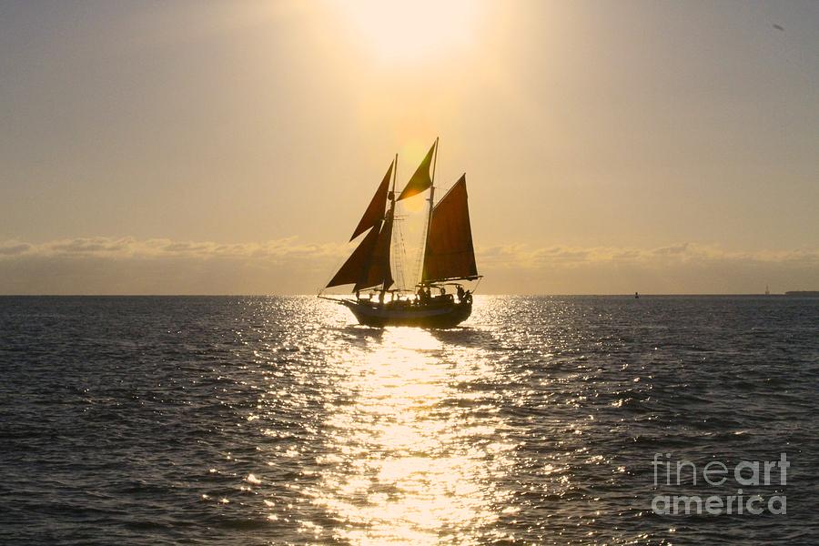 Backlit Sail Photograph by Sean Conklin