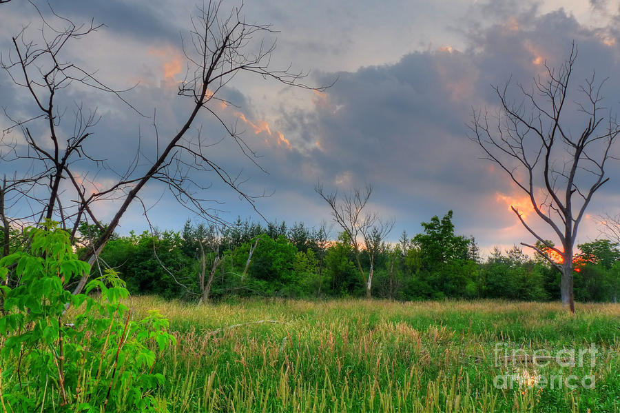 Backlit Sunset Swamp Photograph by Deborah Smolinske