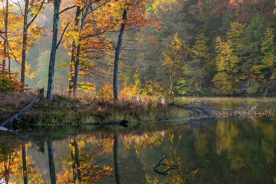 Backlit Trees On Lake Ogle In Autumn Photograph by Chuck Haney Backlit Trees On Lake Ogle In Autumn Photograph by Chuck Haney