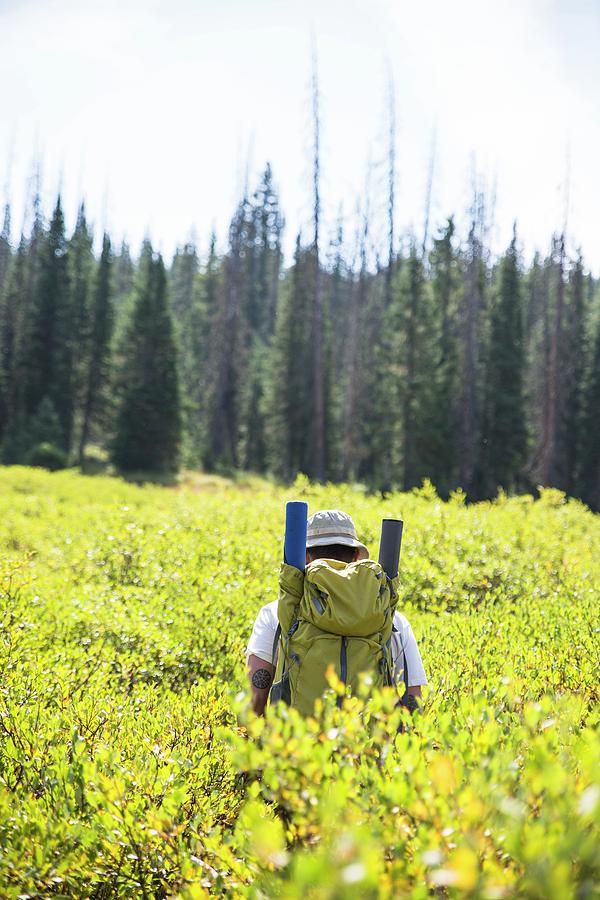 Backpacker Hiking Through Bushes, Routt Photograph by Dustin Doskocil Backpacker Hiking Through Bushes, Routt Photograph by Dustin Doskocil