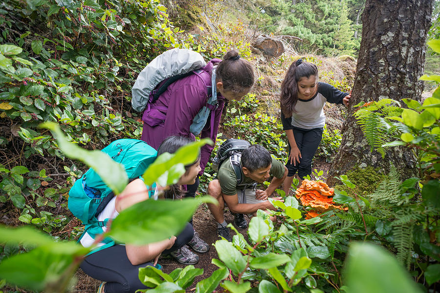 Backpackers Examine an Edible Orange Mushroom while Hiking Through Forest Photograph by PamelaJoeMcFarlane