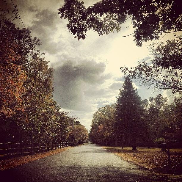 Tree Photograph - #backroads #fall_leaves #clouds #rain by A Loving