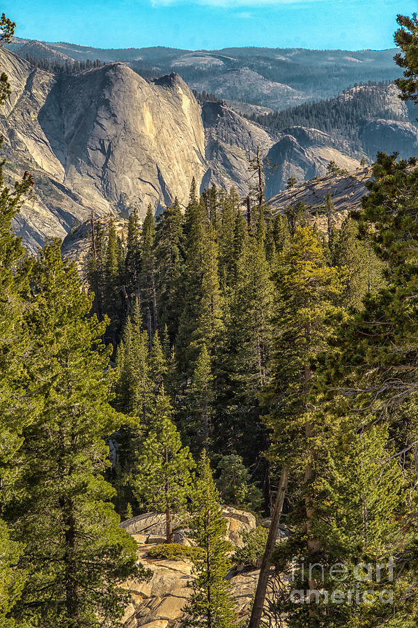 Backroads of Yosemite Photograph by Michael J Samuels Fine Art America