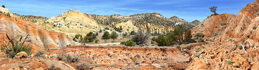 Backroads Utah Panoramic Photograph by Mike McGlothlen