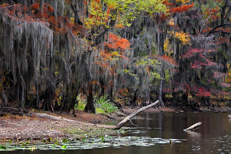 Fall Photograph - Backwater Autumn 2 by Lana Trussell