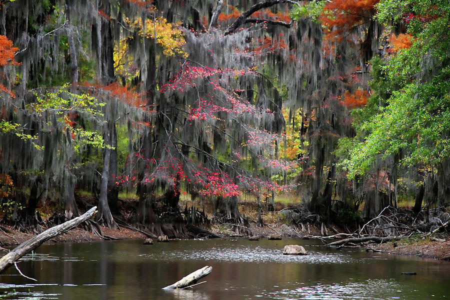 Fall Photograph - Backwater Autumn by Lana Trussell