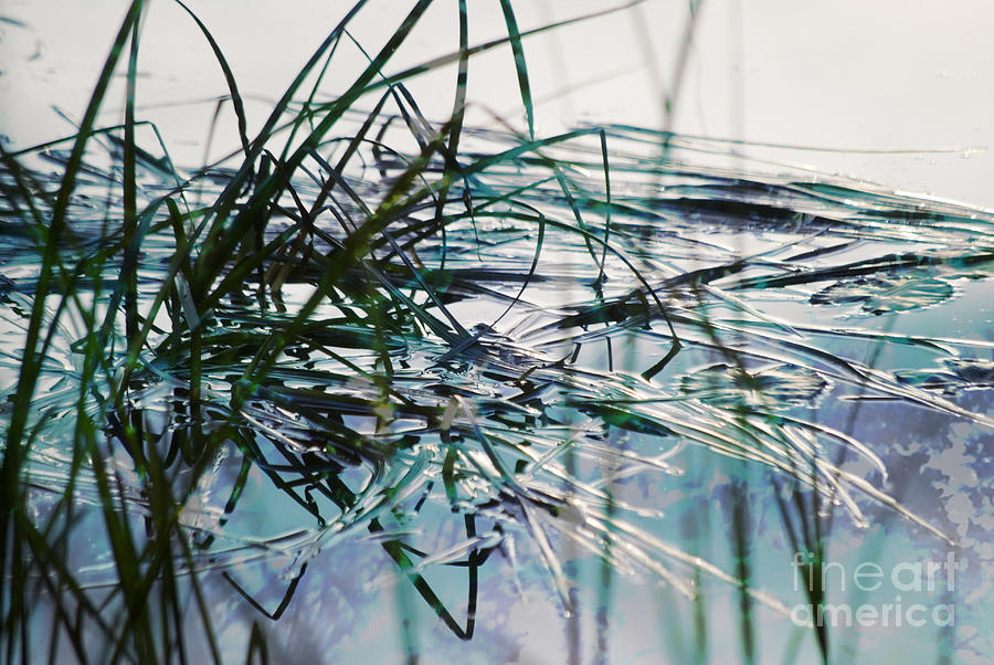 Backwater in Blues by Cynthia Lagoudakis Backwater in Blues by Cynthia Lagoudakis