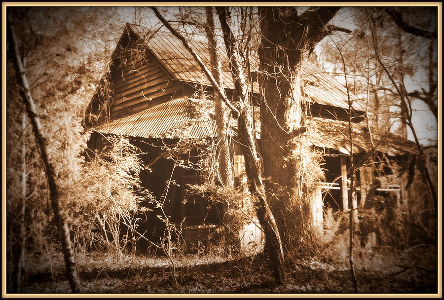 Barn Photograph - Backwoods Barn in Sepia by Lisa Wooten