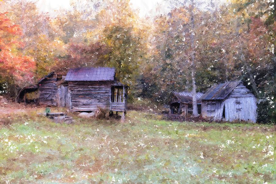 Backwoods Living Photograph by Mary Timman