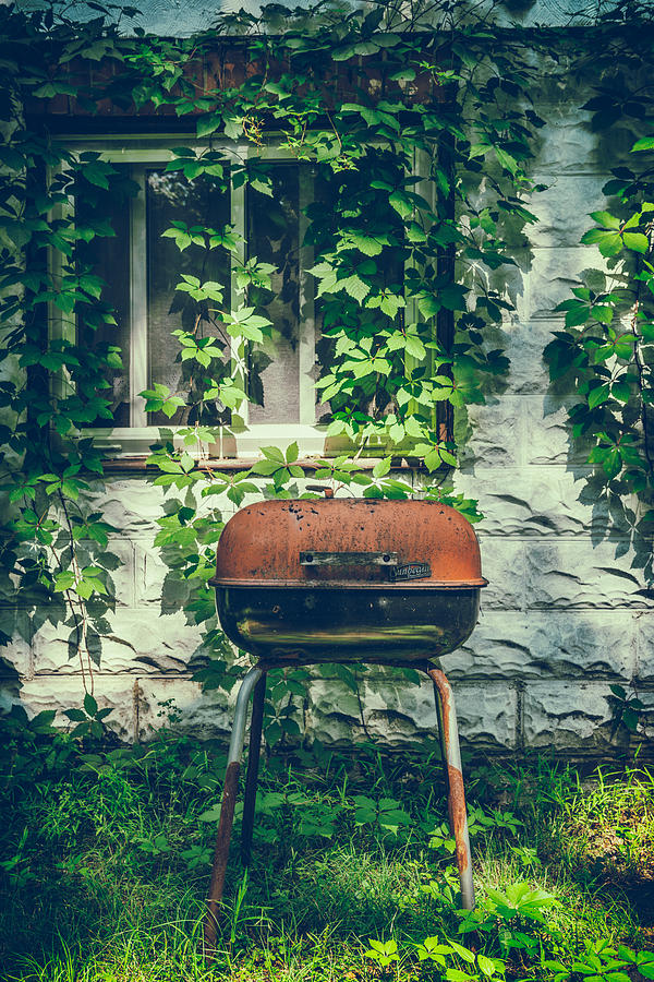 Backyard BBQ Photograph by Joseph Smith
