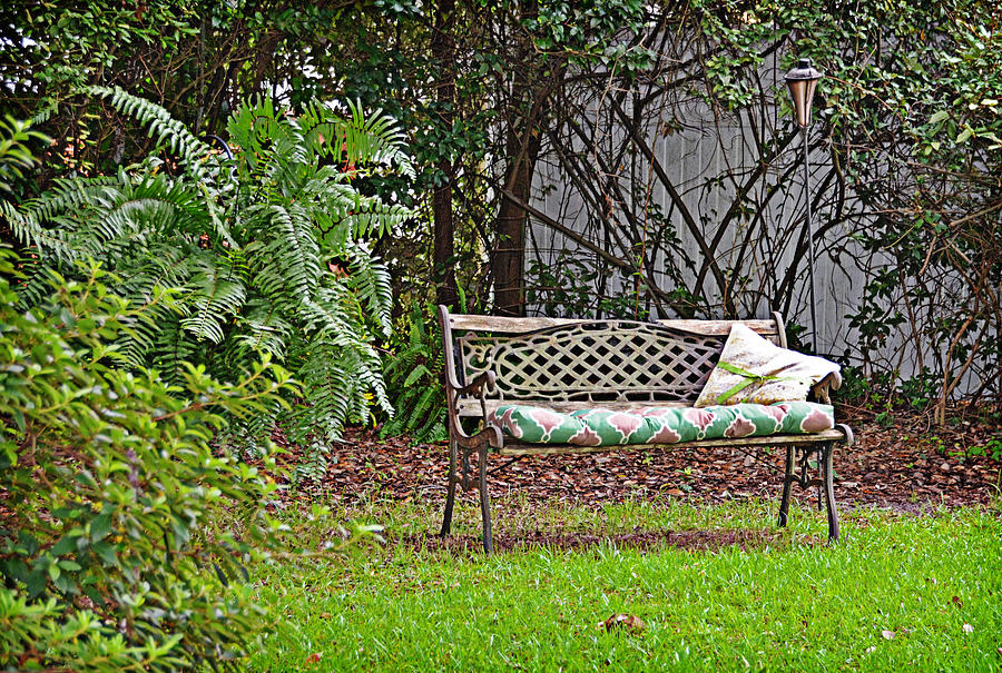 Backyard Bench Photograph by Linda Brown