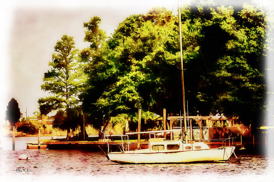 Tree Photograph - Sailboat - Dock - Backyard Mooring by Barry Jones