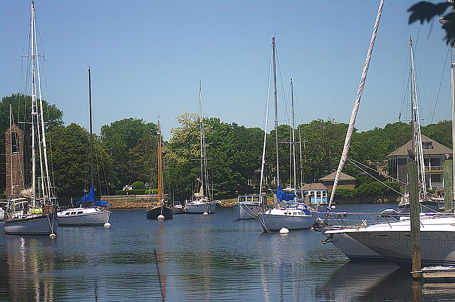 Backyard of Woods Hole Oceanographic Institute Photograph by Suzanne ...