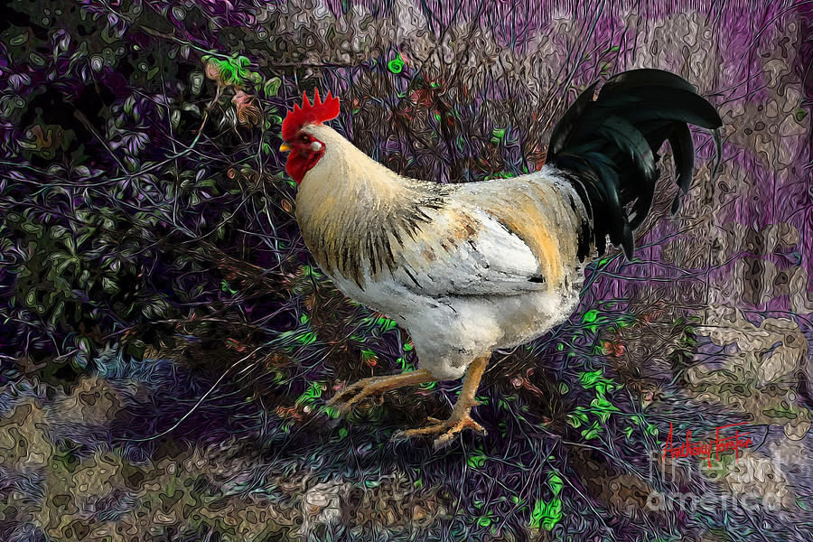 Rooster Digital Art - Backyard Rooster by Anthony Forster Rooster Digital Art - Backyard Rooster by Anthony Forster