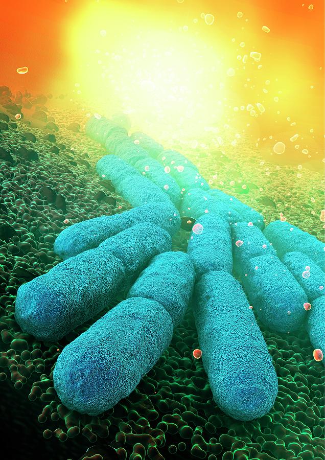 Science Photo Library Bacterias Bacteria by Animate4.Com / Science Photo Library