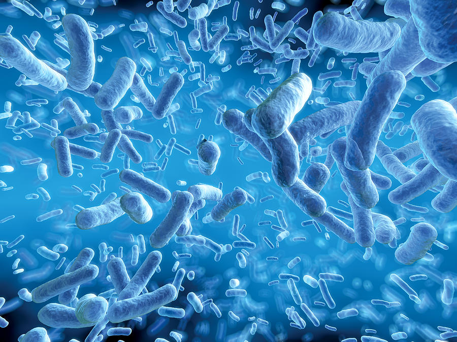 Bacteria cloud Photograph by Spanteldotru