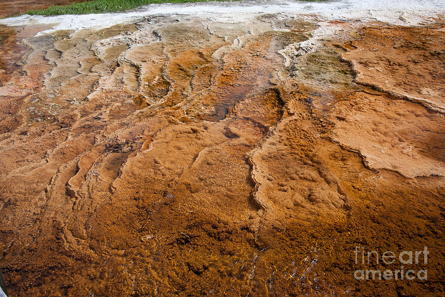 Yellowstone National Park Photograph - Bacterial Mat 7 by Dan Hartford