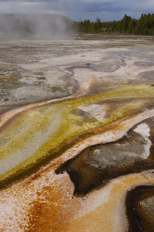 Bacterial Mats in Yellowstone NP Photograph by Pete Oxford