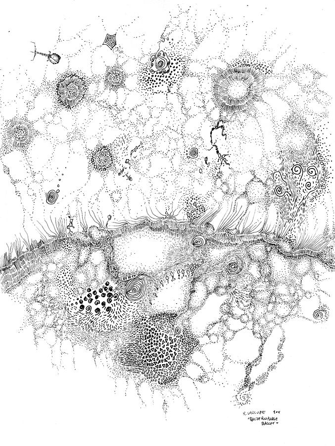 Bacteria Drawing - Bacteriophage Ballet by Regina Valluzzi