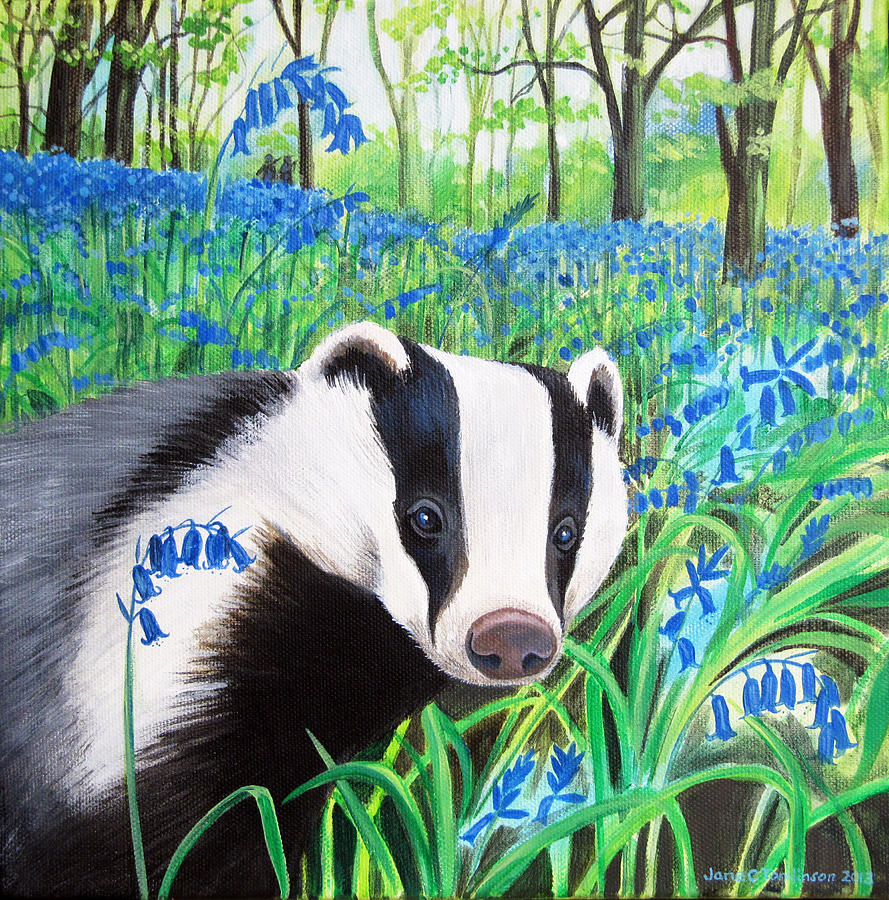 Badger And Bluebells Painting by Jane Tomlinson