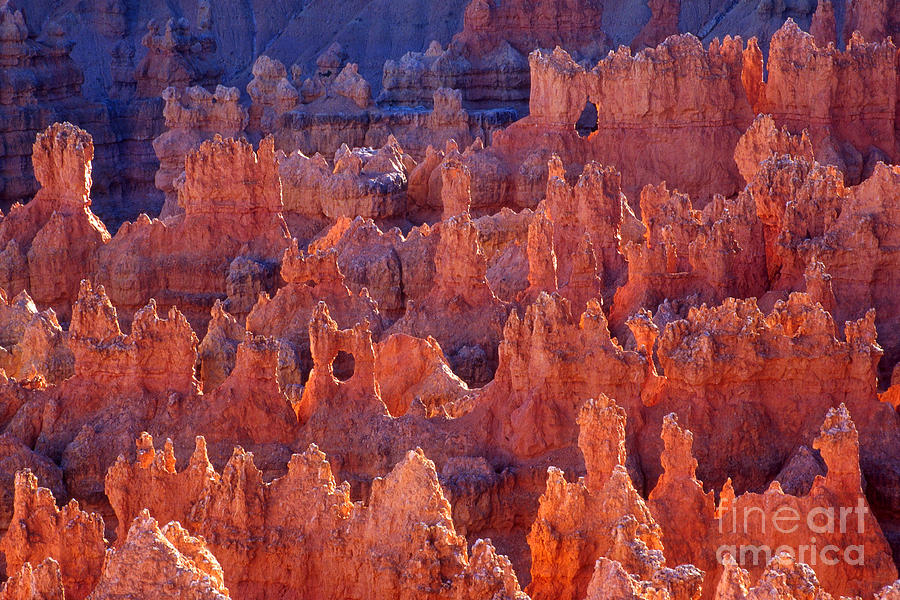 Badland Topography Of Bryce Canyon, Utah Photograph by Gregory G Dimijian