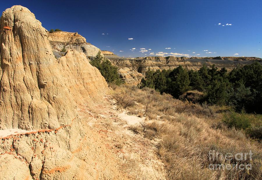 Us National Parks Photograph - Badlands Canyon by Adam Jewell