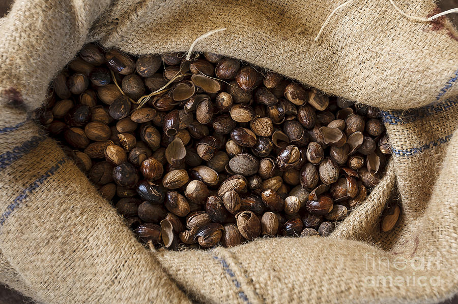 Bag of Nutmeg Photograph by Scott Kerrigan