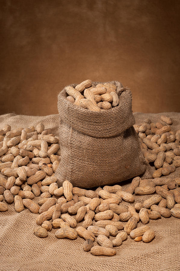 Shell Photograph - Bag of peanuts by Joe Belanger