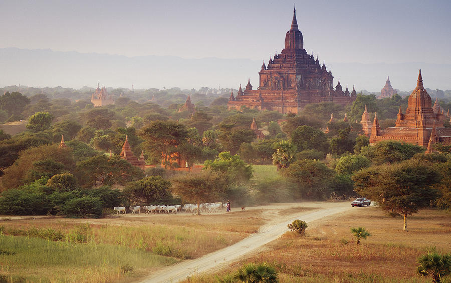Bagan - Htilominlo Temple Photograph by Barnaby Robson