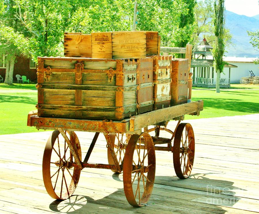 Baggage Cart Photograph by Marilyn Diaz