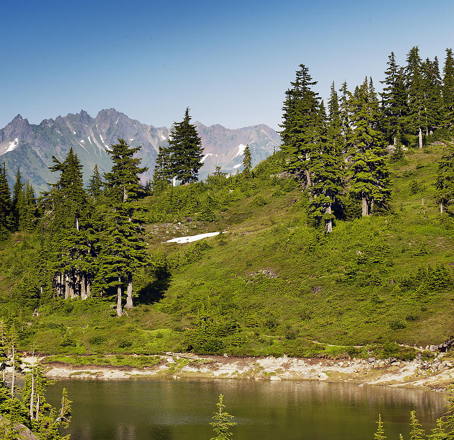 Bagley Photograph - Bagley Lake - Mt Baker Forest  by Brendan Reals