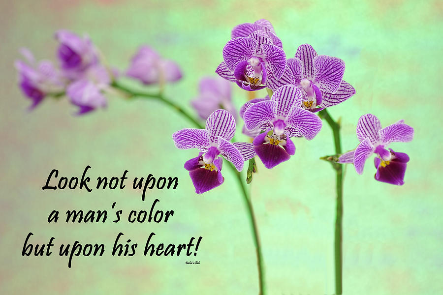 Bahai Purple orchid quote Photograph by Rudy Umans