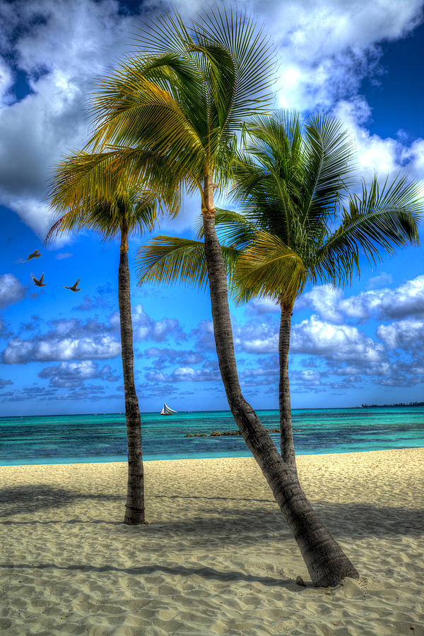 Bahama Breeze Photograph by Paul Wear