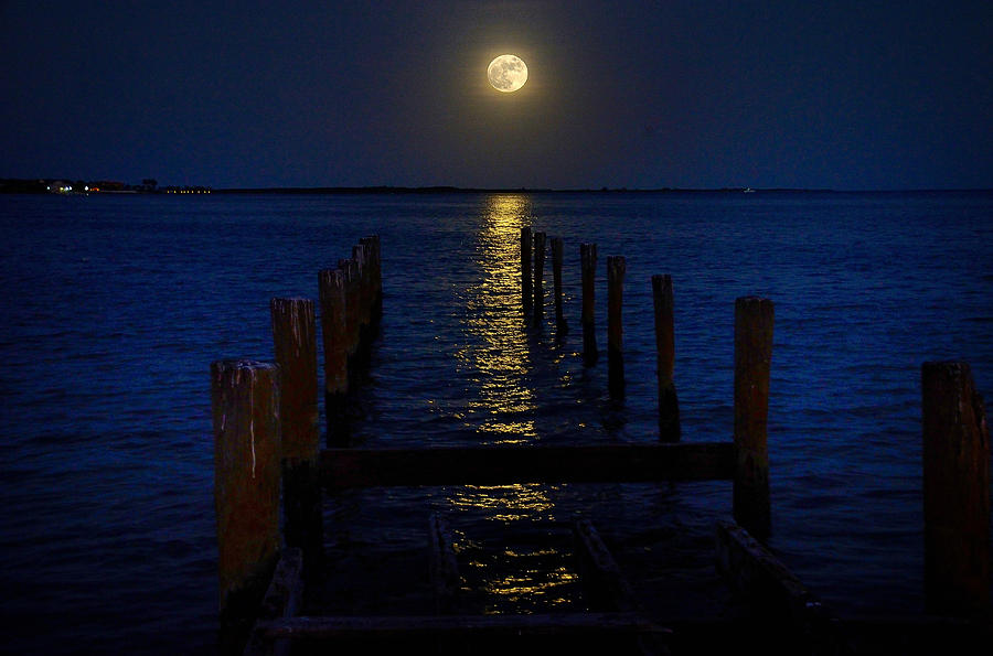 Bahamas Nocturne Photograph by Steven Richman