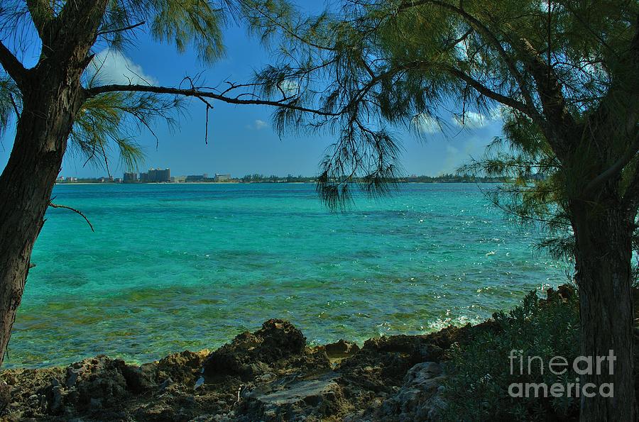 Bahamas Shade Photograph by Bob Sample