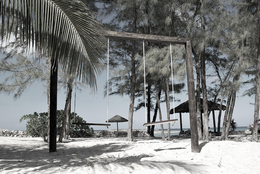 Bahamas Swings Photograph by Bob Sample