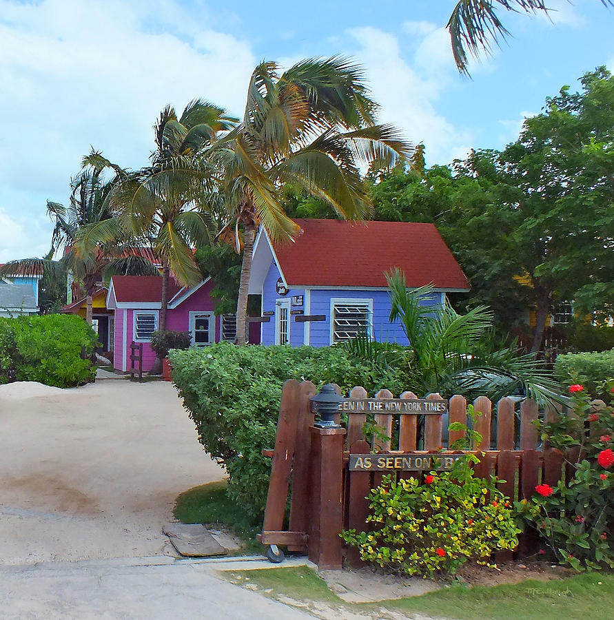Bahamian Cottages in Hatchet Bay Photograph by Duane McCullough