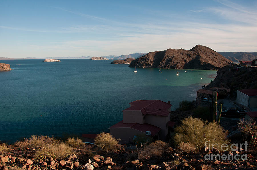 Bahia De La Concepcion, Mexico Photograph by Mark Newman Bahia De La Concepcion, Mexico Photograph by Mark Newman