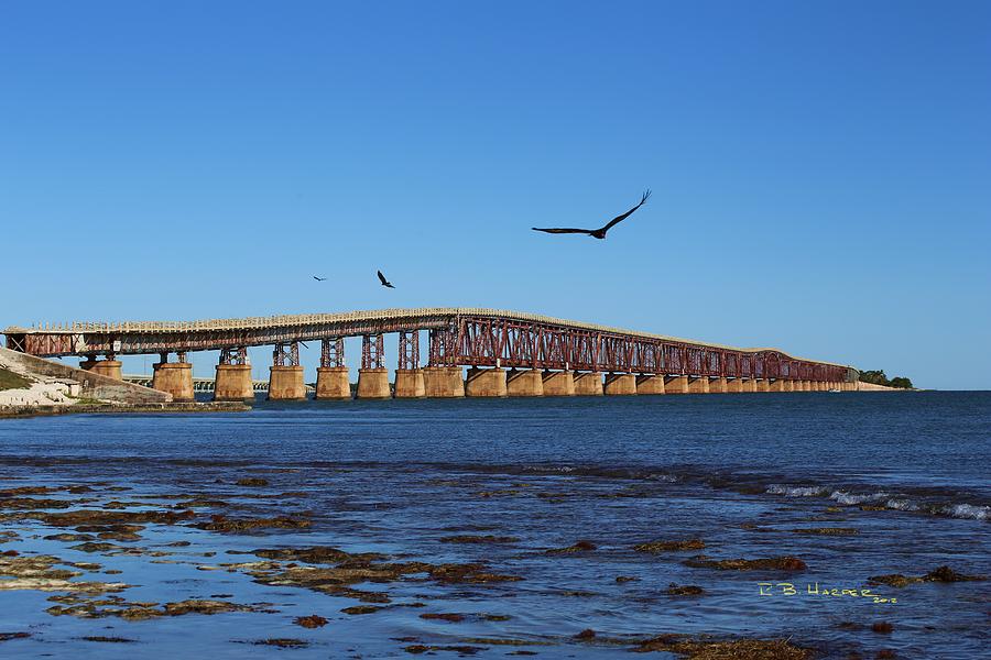Bahia Honda Bridge with Osprey Photograph by R B Harper