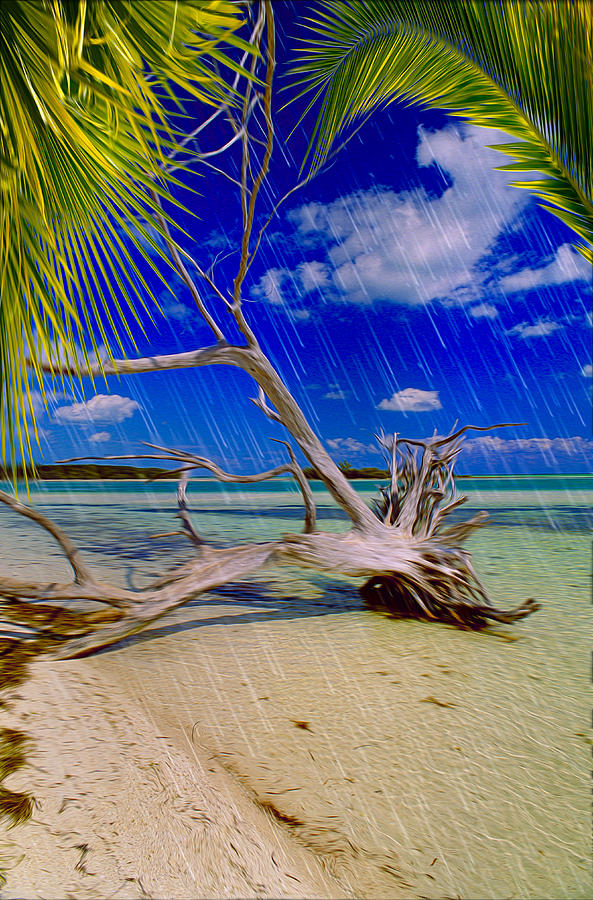 Bahia Honda Key Ver - 5 Photograph by Larry Mulvehill