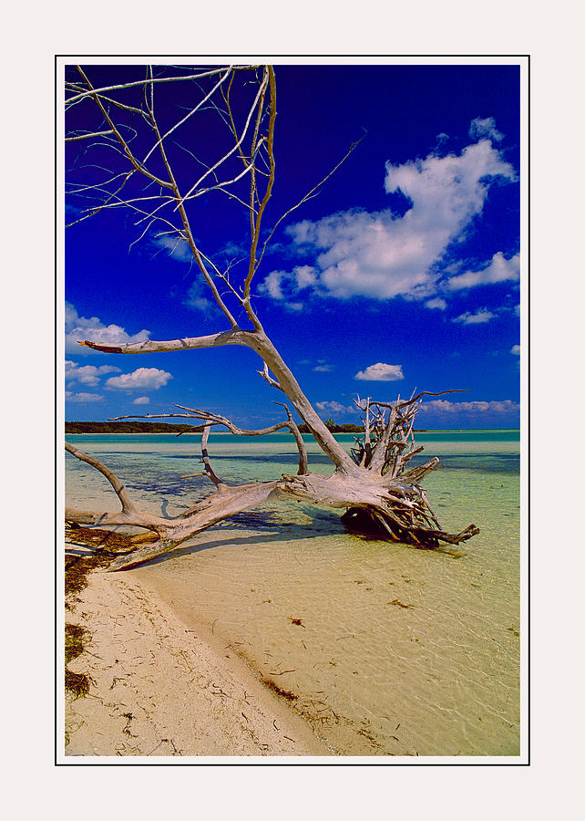 Bahia Honda Key Ver - 8 Photograph by Larry Mulvehill