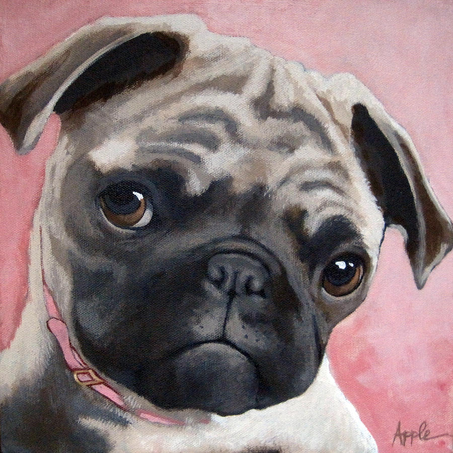 Bailey Painting by Linda Apple