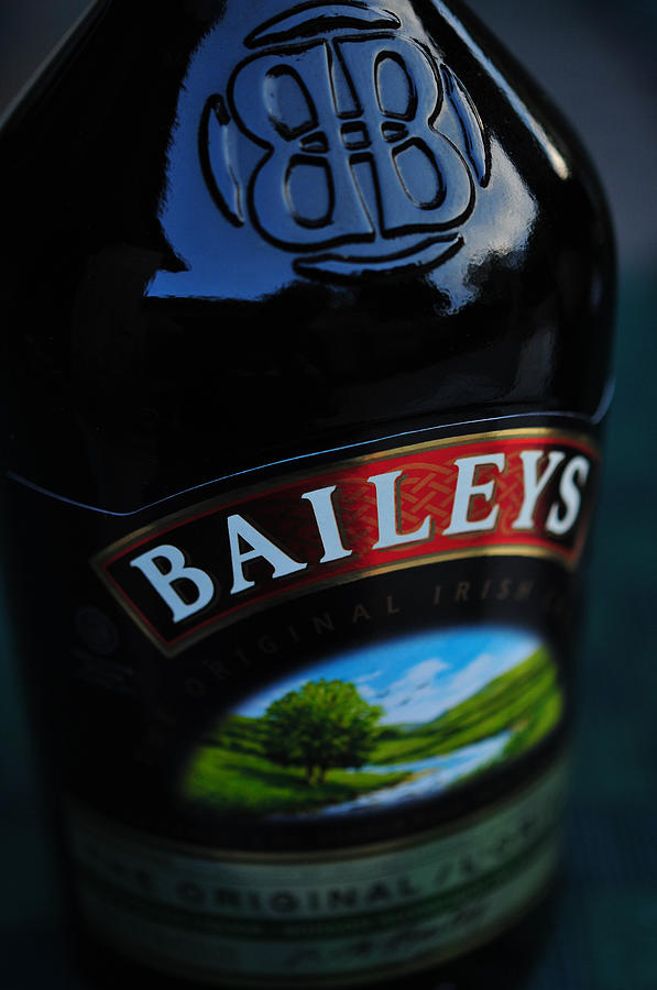 Baileys 2006 Photograph by Dragan Kudjerski