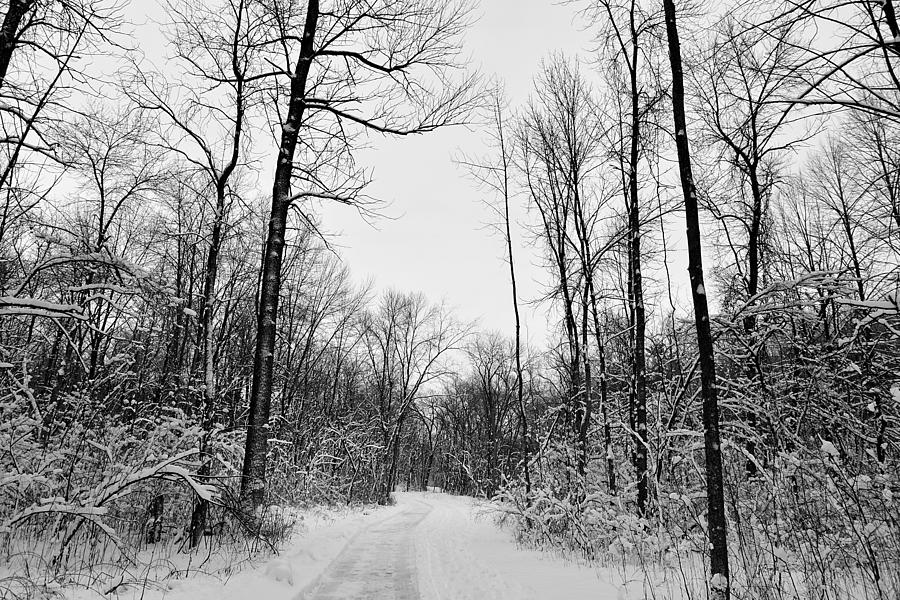 Baird Creek Trail Winter Photograph by James Darmawan | Fine Art America