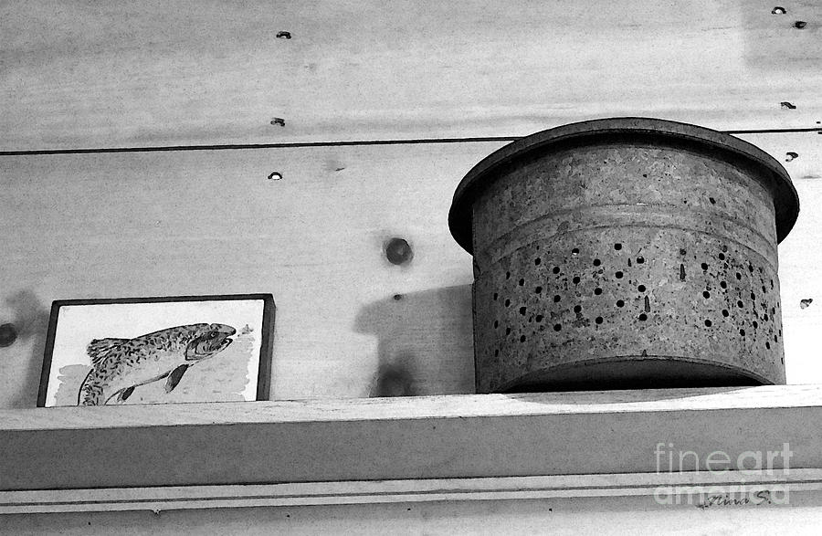 Bait Bucket and Fish Photograph by Nina Silver