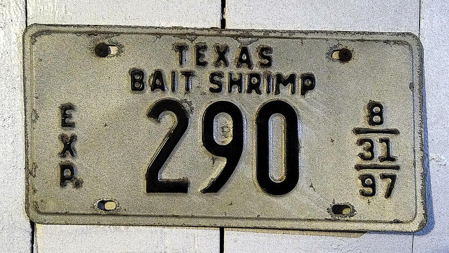 Bait Shrimp 290 Graphic Photograph by Tom DiFrancesca
