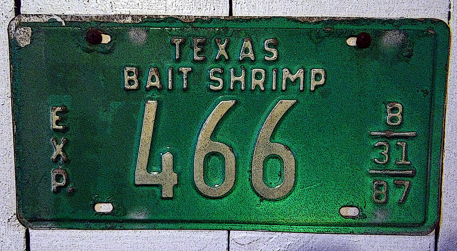 Bait Shrimp 466 Photograph by Tom DiFrancesca