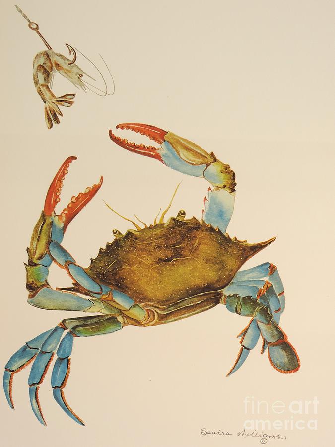 Nature Painting - Bait Stealer by Sandra Williams